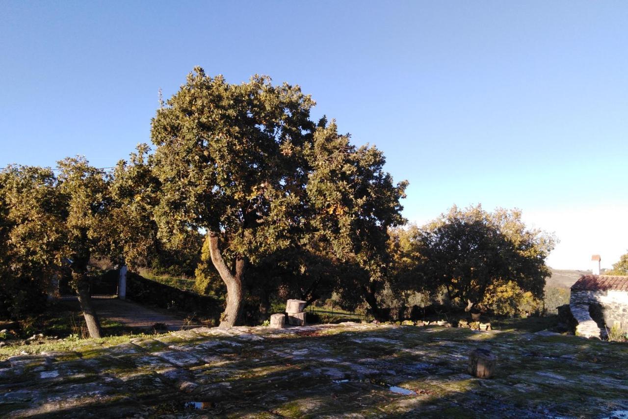 Su Montiju De Sa Falada Manna Cheremule Exterior foto